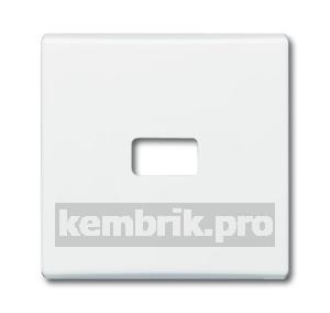 ALLWETTER Клавиша с окном для символа для выключателей/переключателей/кнопок IP44 белый