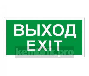 Пиктограмма ПЭУ 011 Выход/Exit (385х185) PT-B