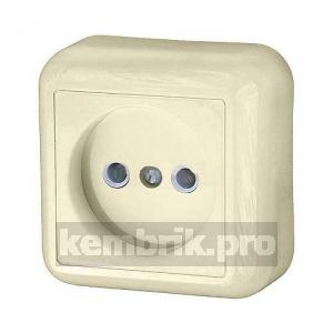Розетка Wessen Ra16-003-1-si
